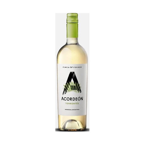 Acordeon Torrontes