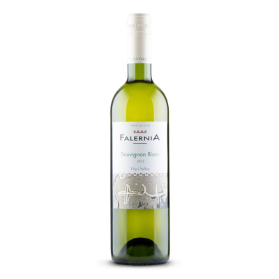 Sauvignon Blanc Vina Falernia - Wina.pl