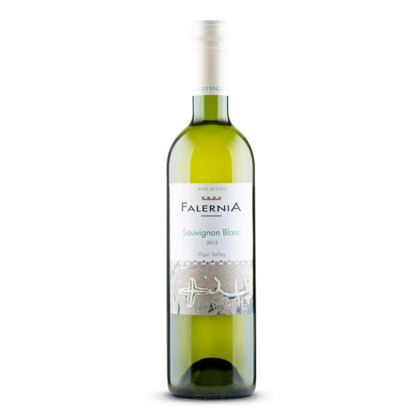 Vina Falernia Sauvignon Blanc Reserva