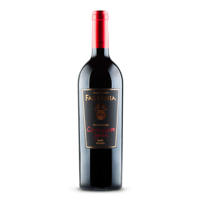 Vina Falernia Carmenere Syrah Gran Reserva