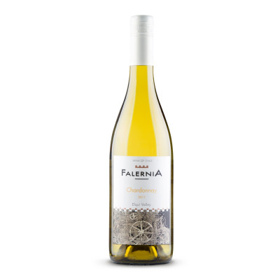 Chardonnay Vina Falernia - Wina.pl