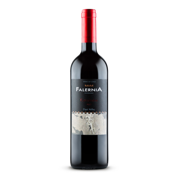 Vina Falernia Carmenere Reserva