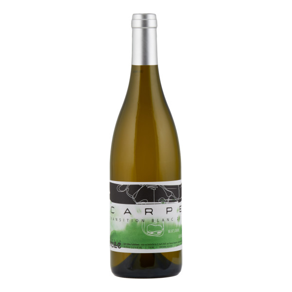 Vignoble Réveille Carpe IGP Côtes Catalanes