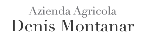 Denis Montanar