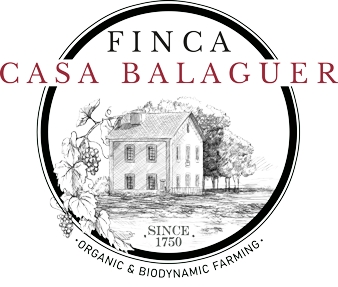 Casa Balaguer