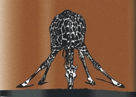 ZAFRICO