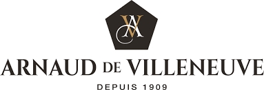Arnaud de Villeneuve