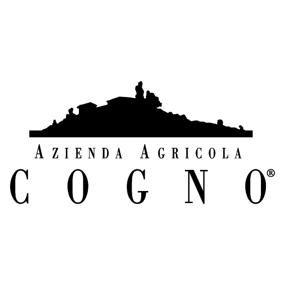 Elvio Cogno