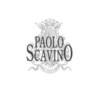 Paolo Scavino