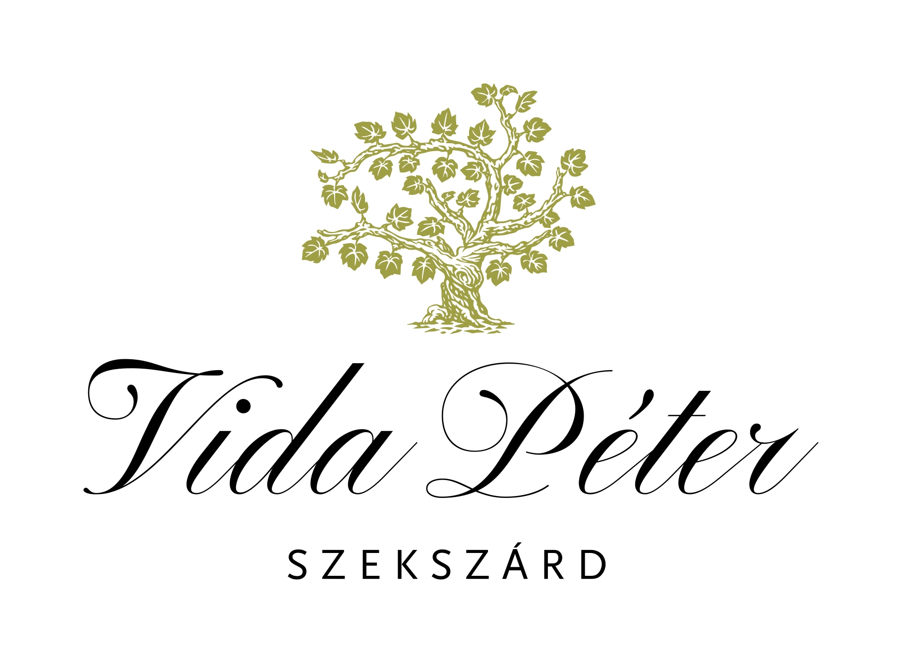 Péter Vida